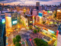 東京の土建業